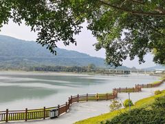 -风云岭森林公园