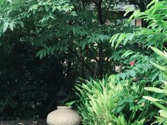 -三亚湾红树林度假世界(木棉酒店)