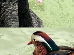 -中国农业博物馆