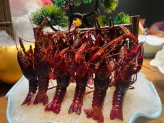 -尚海豆捞(乐虹坊店)