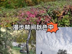 -可可托海景区
