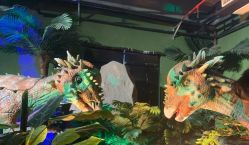 -恐龙探索乐园(磁器口店)