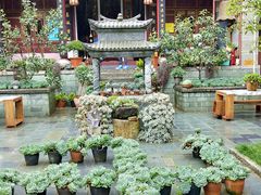 -寂照庵