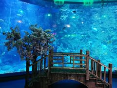 -海合安青岛极地海洋公园