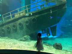 -福州罗源湾海洋世界旅游区