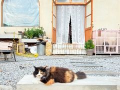 -小时光咖啡馆(开森度假森林店)