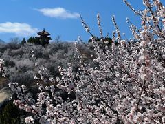 -白水寺森林公园