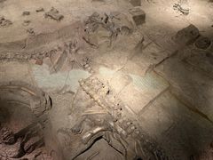 -自贡恐龙博物馆