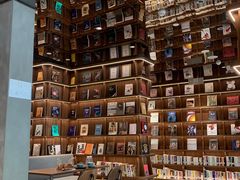 -游心咖啡(青山红坊店)