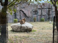 -齐齐哈尔龙沙动植物园