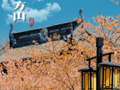 -苏州上方山国家森林公园