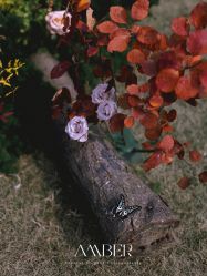 -琥珀婚礼策划AMBER WEDDING