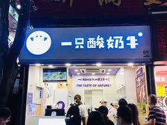 门面-一只酸奶牛(八一路店)