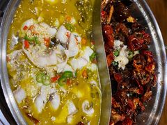 -百岁鱼(七一路店)