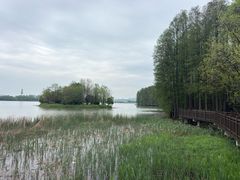 -东湖落雁景区