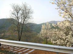 -山西通天峡景区