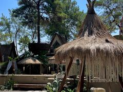-南山植物园