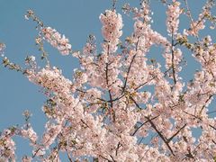 -肯德基(汤逊湖店)