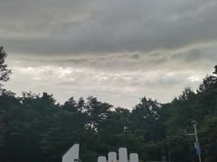 -青枫公园
