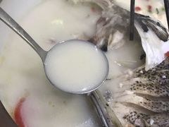 -全乐鱼馆·淳牌有机鱼直营店