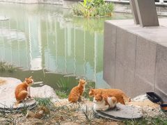 -杭州市城市规划展览馆