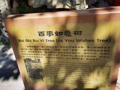 -潭柘寺景区