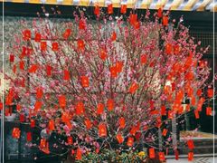 -桃园盛宴·岭南粤菜·手工茶点(南庄店)