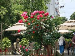 -老洋房花园饭店(绍兴路店)