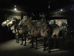 -秦始皇帝陵博物院(兵马俑)