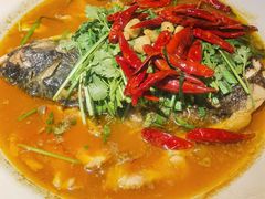 -清水亭湖北菜(大屯DT51店)