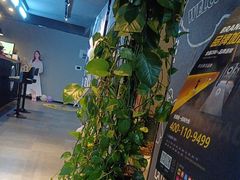 -梵猫·新养生(湛江鼎盛店)