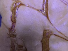 -一大糕点(纬六路店)