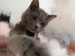 -美联众合24小时·皮肤科·外科·全科诊疗中心(华苑分院)