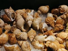 -西宁富力万达文华酒店·品珍中餐厅