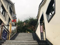 -老幺泉水鸡