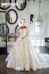 -纯色时光婚纱艺术馆WHITE