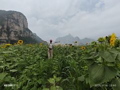 -孤山寨风景区