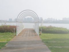 -九龙湖公园