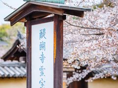 -醍醐寺