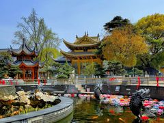 -上海东林寺(金山区)