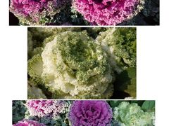 -文华公园(禅城区)