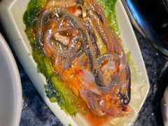 鳝鱼-蜀大侠火锅(寰球文化地标·总府店)