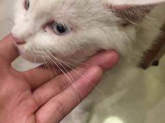 -情忆草原涮肉馆