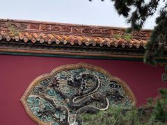 -北陵公园