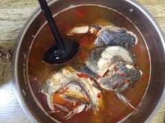 风鑫铃罗非鱼-风鑫铃罗非鱼(道沟店)