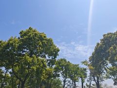 -春花秋色城市公园