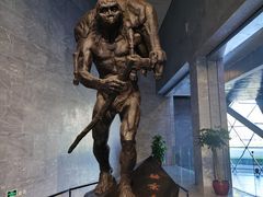 -北京周口店北京人遗址博物馆