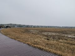 -盐城丹顶鹤湿地生态旅游区