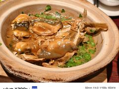 镇江秧草烧河豚-永安鱼庄·镇江菜(东吴路店)