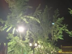 -楠柏弯休闲山庄(梨花溪店)